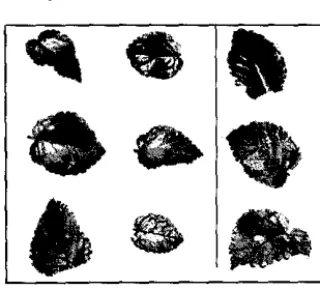 Fig. 11 Comparison of average accuracy using different features. 