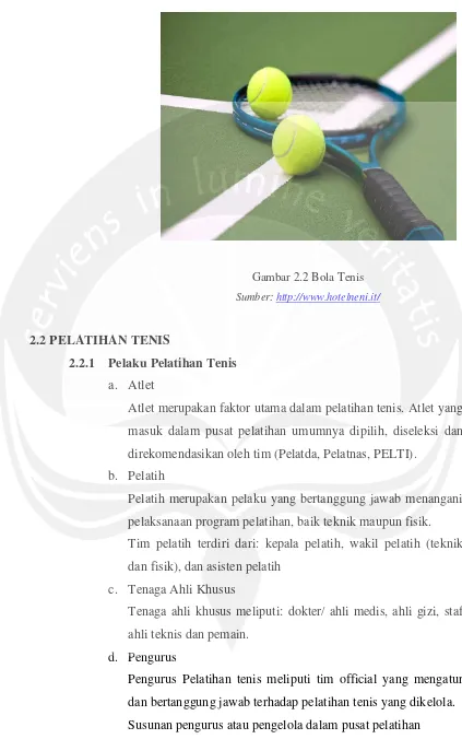 Gambar 2.2 Bola Tenis 