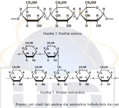 Gambar 2. Struktur amilosa 