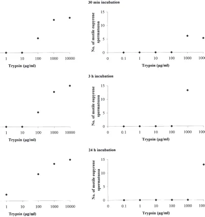 Fig. 4.Effects of concentration of trypsin in HEPES buffer solutionsand incubation time in eupyrene bundle dissociation