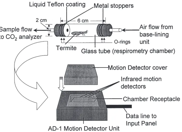 Fig. 1.Schematic of the respirometry chamber used in these experiments. The chamber contained an individual termite and was positioned withinthe AD-1 motion detector as indicated.