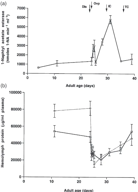 Fig. 3.1-Naphthyl acetate esterase activity and hemolymph protein.lymph protein in females (unbroken line) and males (dashed line).Hemolymph was analyzed from 3–5 individuals for each time pointlife cycle of4 individuals for each time point (non-pooled)