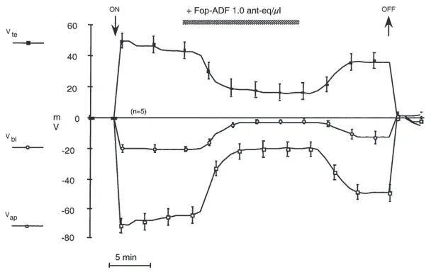 Fig. 7.Effect of FopADF, tested at a concentration of 4 ant-eq/(on ﬂuid secretion by isolated Malpighian tubules of the mealwormmolitorthen replaced by 1 mmol/l cyclic AMP