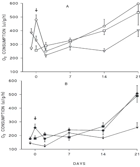 Fig. 1.Oxygen consumption rates in females of P. apterus measured