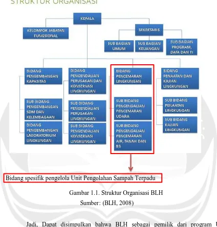 Gambar 1.1. Struktur Organisasi BLH 