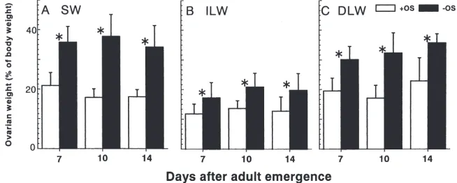 Fig. 2.Effect of deprivation of oviposition substrate on mean wet body weight during the ﬁrst 2 weeks after adult emergence in SW (A) andindicate one SD