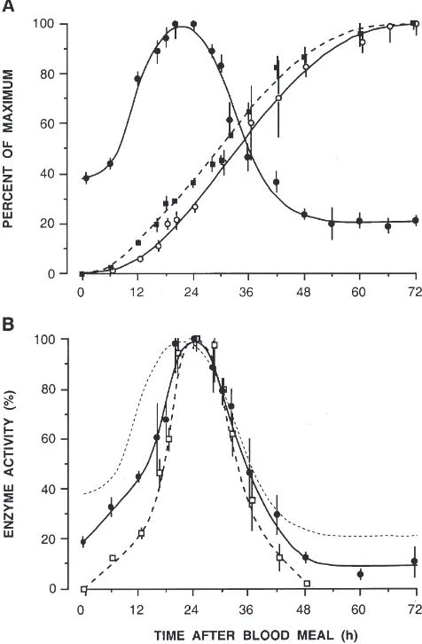 Fig. 1.(A) XDH activity in the fatbody (0.672 U/midgut. Meansyolk length 425�), faecal uric acid (�) andyolk length (�) during the course of a gonotrophic cycle of Aedesaegypti