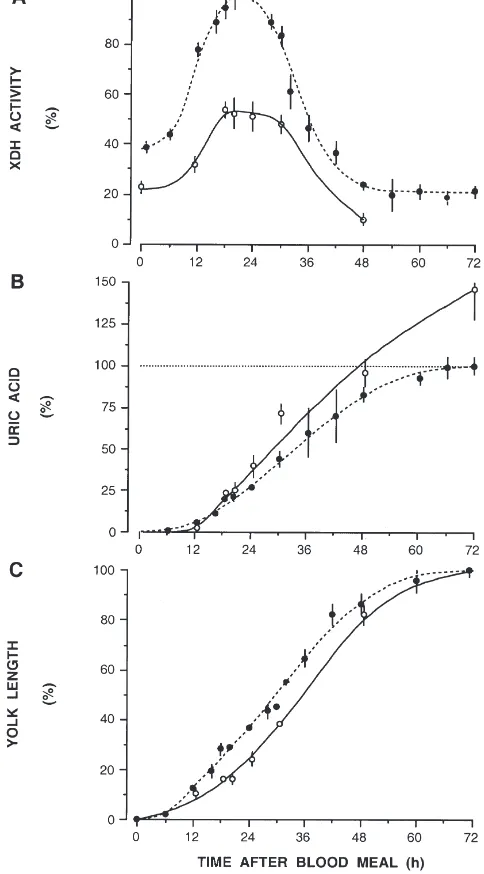 Fig. 4.Effect of body size on XDH activity, uric acid excretion andvitellogenesis in Aedes aegypti fed identical volumes of blood
