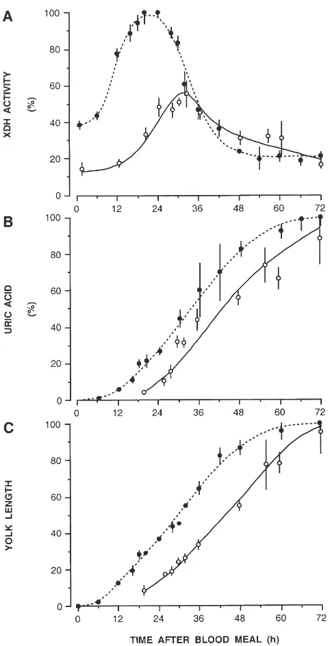 Fig. 5.Protein catabolism and vitellogenesis in young (49 for young and�) and old(�) females of Aedes aegypti given 3 µl of rat blood