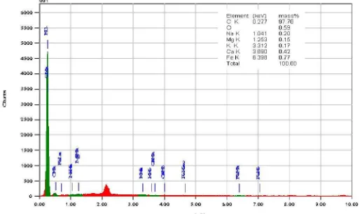 Figure 5. EDS analysis of the coconut shell carbon (2.5 % wt. PVA) sintered at 1500  oC