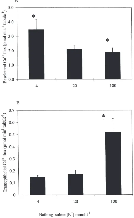 Fig. 5.Effects of bathing saline K + concentration on basolateral andtransepithelial calcium transport