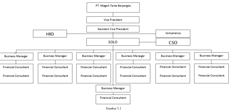   Gambar 3.1 Struktur Organisasi PT. Megah Tama Berjangka