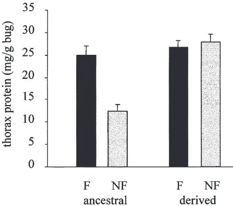 Fig. 4.The amount (means plus standard errors) of thoracic protein(mg protein per gram live bug) in ﬂying (black bars) and non-ﬂying(grey bars) ancestral and derived individuals.