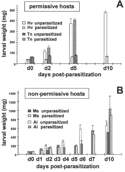 Fig. 1.Effect of parasitism by C. sonorensis on larval weight gain and developmental progress of permissive (A) and non-permissive (B) hosts.T