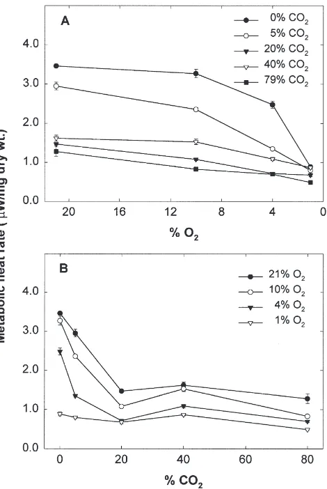 Fig. 4.Metabolic heat rate (µW/mg dry wt.) of 1–2 d old Platynotastultana female pupae under combinations of reduced O2 and elevatedCO2 at 20°C; (A) effects of reducing O2 concentration at various COconcentrations; (B) effects of increasing CO22 concentrat