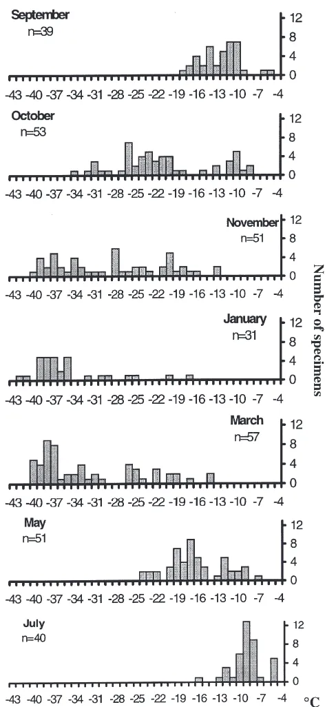 Fig. 3.Seasonal changes in SCP distribution inted against number of specimens per 1 Phauloppia sp