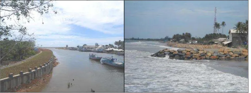 Fig. 5: Functioning of fish port in estuaries and coastal structures 