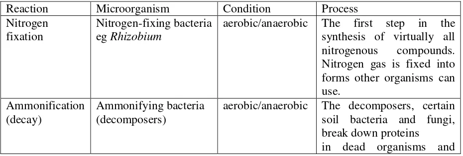 Tabel 1. Tipe-tipe reaksi dalam siklus nitrogen 