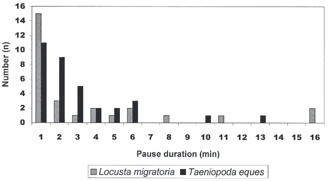 Fig. 5.Pause duration histogram of long-term recordings from ventilatory efferent nerves (median or ventral metathoracic nerves) in isolatednerve cords from Taeniopoda eques (7 experiments) and Locusta migratoria (7 experiments) without tracheal supply