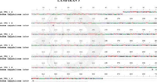 Gambar 18. Hasil alignment sekuens hasil sekuensing dengan sekuens Gymananthemum amygdalinum yang diperoleh dari NCBI Genbank