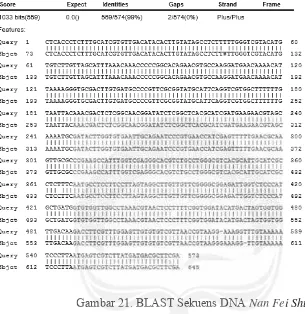 Gambar 21. BLAST Sekuens DNA LALAST SST