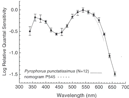 Fig. 1.Vadapted compound eye in/log I curves for selected wavelengths from one dark- P