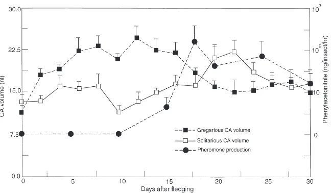 Fig. 3.Changes in mean volume (±SD) of the CA of solitarious and gregarious adult males, in relation to pheromone production by gregariousadult males.