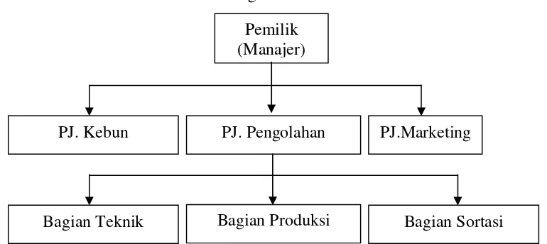 Gambar 3. Struktur Organisasi Pabrik Teh Sumber Daun 