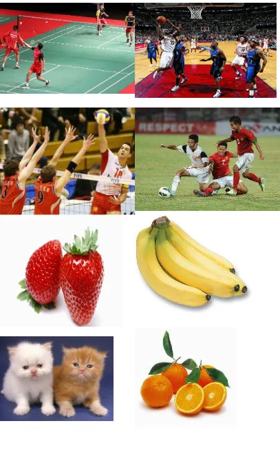 Gambar macam-macam kegiatan Olahraga, Buah-buahan dan Binatang 
