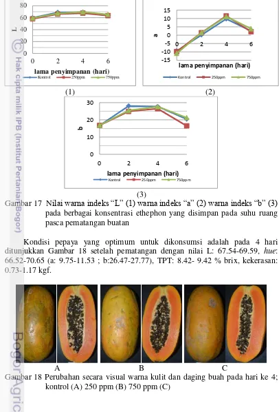 Gambar 17  Nilai warna indeks “L” (1) warna indeks “a” (2) warna indeks “b” (3) 