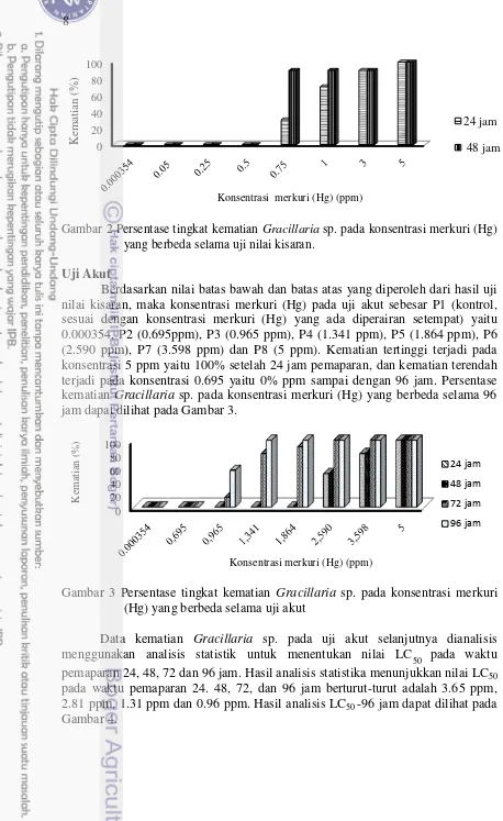 Gambar 2 Persentase tingkat kematian Gracillaria sp. pada konsentrasi merkuri (Hg) 