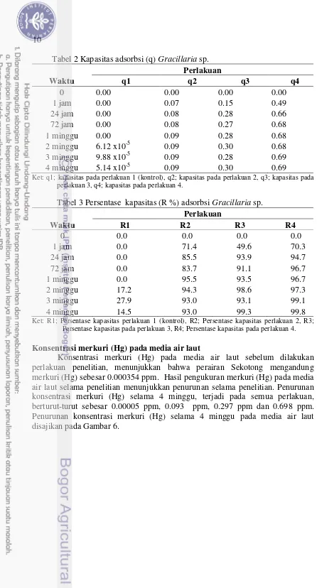 Tabel 2 Kapasitas adsorbsi (q) Gracillaria sp.  