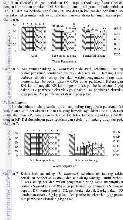 Gambar 6. 80a