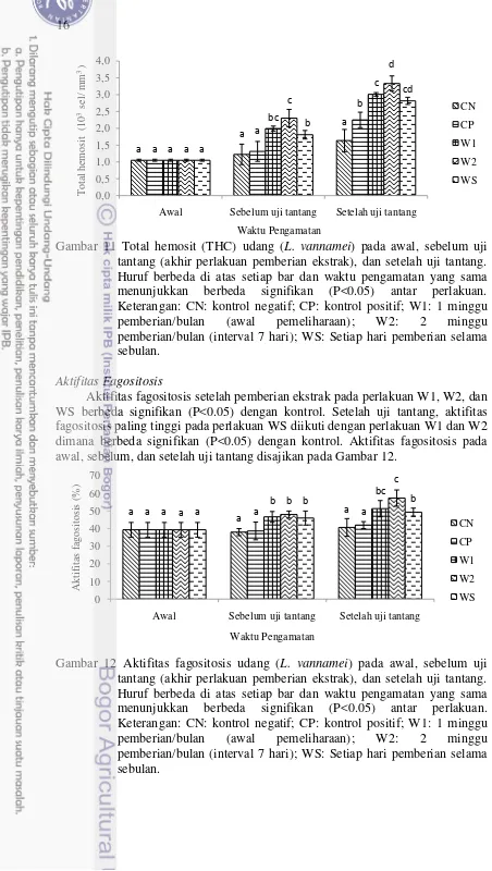 Gambar 11 Total hemosit (THC) udang (L. vannamei) pada awal, sebelum uji 