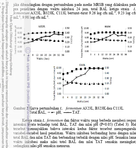 Gambar 2 Kurva pertumbuhan L.   fermentum A323L, B323K dan C113L. 