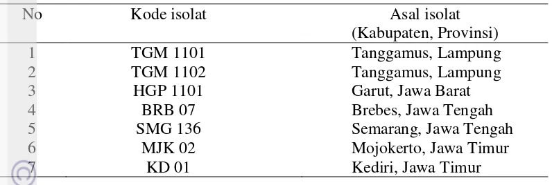 Tabel 1  Isolat C. acutatum koleksi Klinik Tanaman Departemen Proteksi Tanaman IPB yang akan digunakan sebagai bahan penelitian 