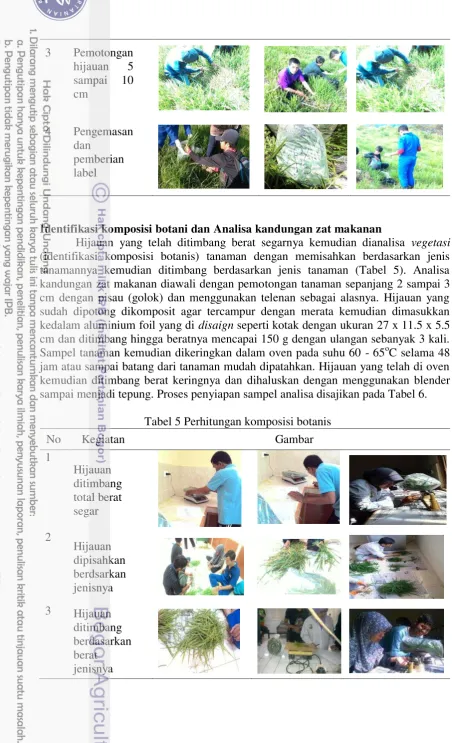 Tabel 5 Perhitungan komposisi botanis 