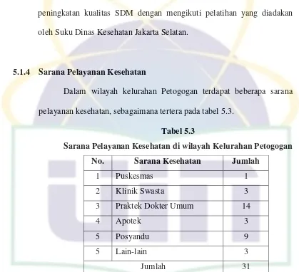 Tabel 5.3 Sarana Pelayanan Kesehatan di wilayah Kelurahan Petogogan 