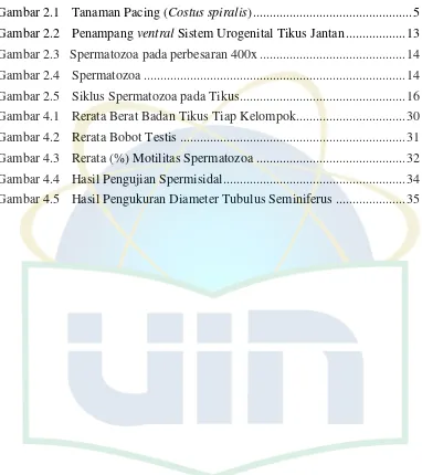 Gambar 2.1Tanaman Pacing (Costus spiralis)................................................5