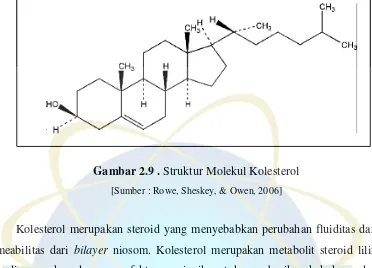 Gambar 2.9 . Struktur Molekul Kolesterol 