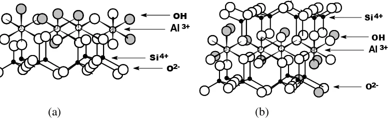 Gambar 1.1. Diagram skematik mineral lempung struktur dasar 1 : 1 (a) dan  2 : 1 (b) 