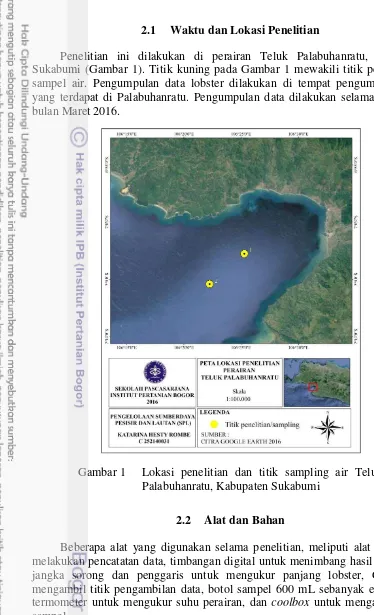 Gambar 1   Lokasi penelitian dan titik sampling air Teluk 