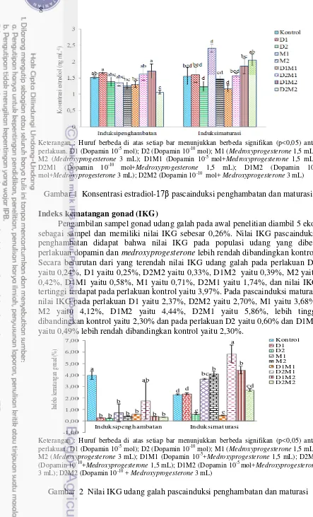 Gambar 1  Konsentrasi estradiol-17β pascainduksi penghambatan dan maturasi 