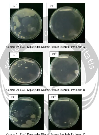 Gambar 21. Hasil Kapang dan Khamir Permen Probiotik Perlakuan C