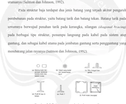 Gambar 2.2 Beberapa contoh tipe batang tarik Gambar 2.2 Beb(Salmon dan Johnson, 1992) bere apa coontoh tipe batang tarik (Salmon dda n Johnson, 1992) 