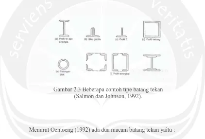 Gambar 2.3 Beberapa contoh tipe batang tekan (Salmon dan Johnson, 1992).  Bebeberapa contntohoh tmomon n dda n JoJohnhnson,so