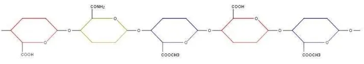 Gambar 2.8. Molekul Pektin yang Teramidasi 