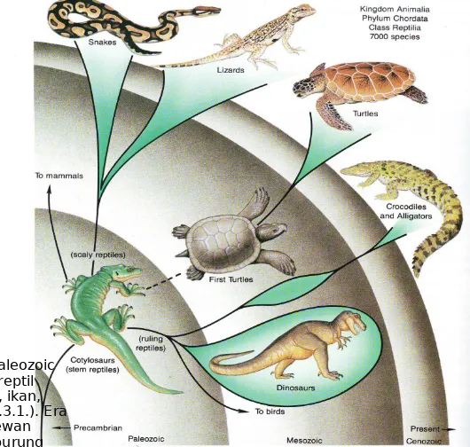 Gambar 3.2. Era Paleozoic mun-culnya hewan reptil 