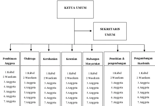 Gambar 3.2 Struktur Organisasi IPTR USU 