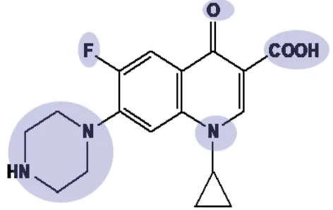 Gambar 2.1. Struktur Kimia Siprofloksasin(18) 